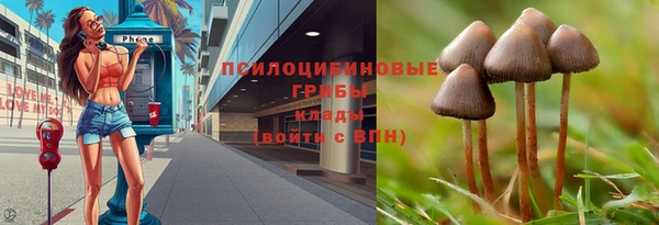 винт Покровск