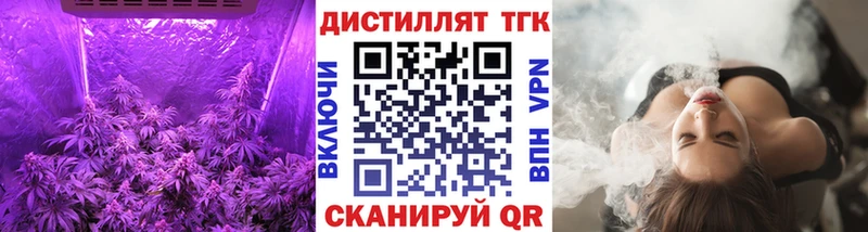 ТГК концентрат  Медынь 