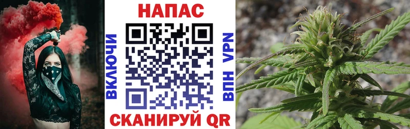 что такое наркотик  Медынь  Каннабис OG Kush 